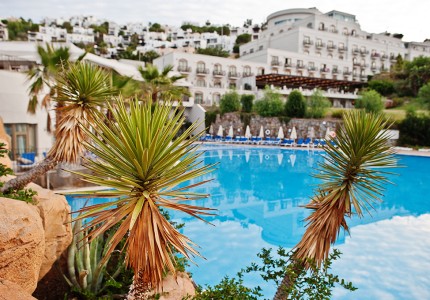 palmy_na_skalach_przy_basenie_rano_w_srodziemnomorskim_hotelu_w_letnim_kurorcie_w_turcji_bodrum.jpg